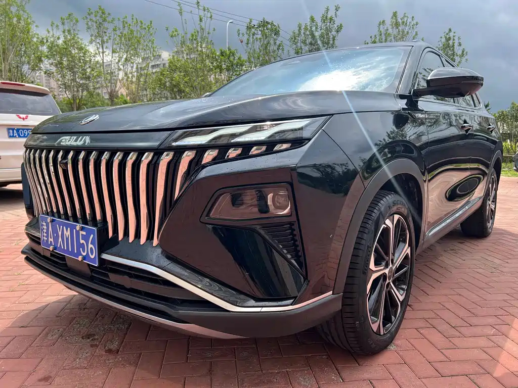 DONGFENG OTHER 2022