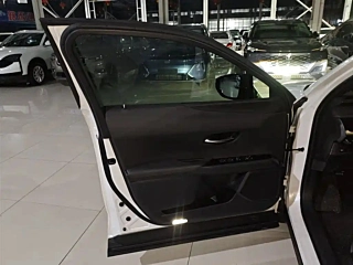 LEXUS UX NEW ENERGY  2020 YEAR 300E &#32431;.&#24742; EDITION 2020