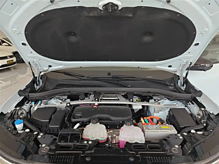 LEAPMOTOR C11  2023 YEAR RANGE-EXTENDING 300&#33298;&#20139; EDITION 2023