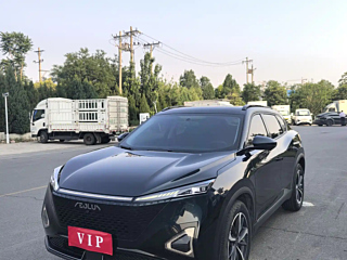 dongfeng other