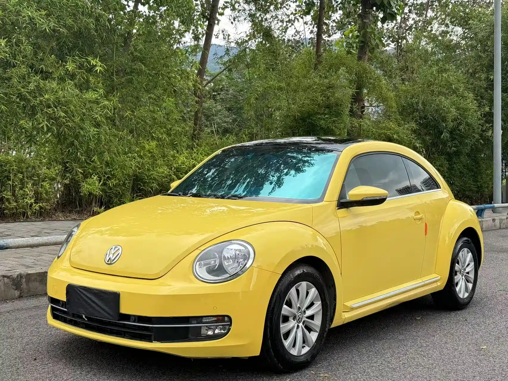 VOLKSWAGEN BEETLE