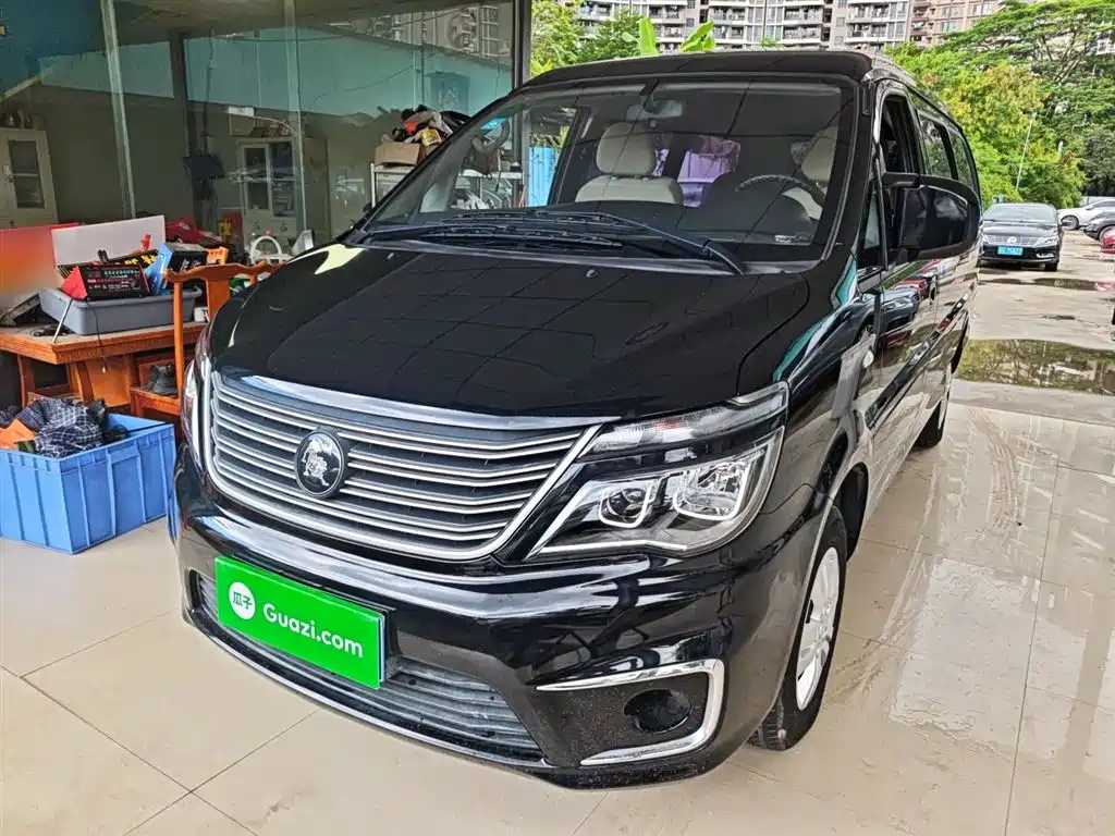 DONGFENG LINGZHI