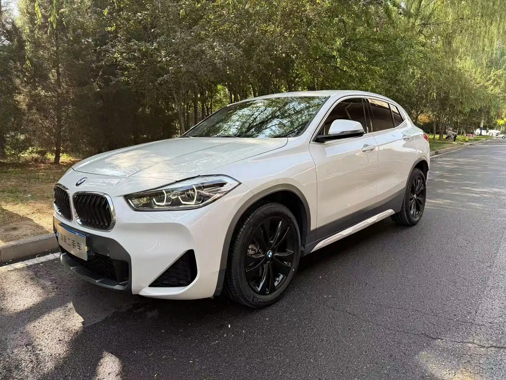BMW X2
