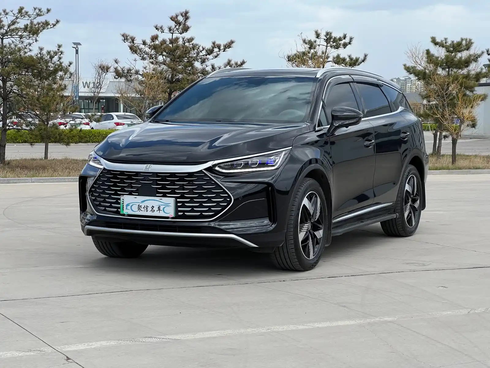 BYD TANG NEW ENERGY