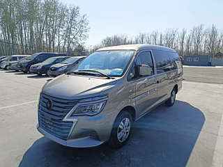 dongfeng lingzhi