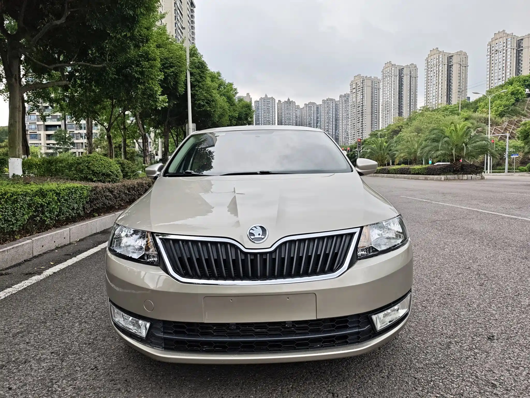 SKODA RAPID