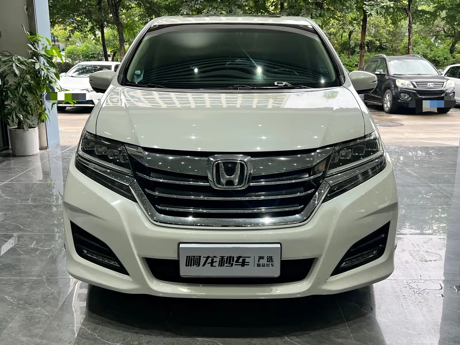 HONDA ALISON 2016