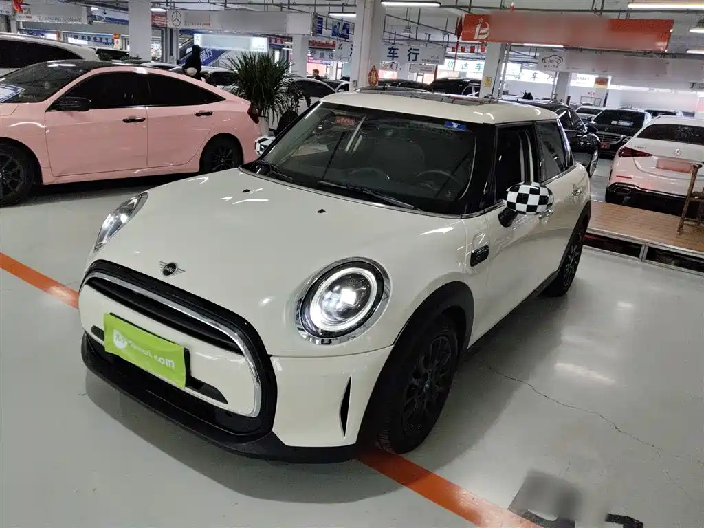 MINI OTHER 2022