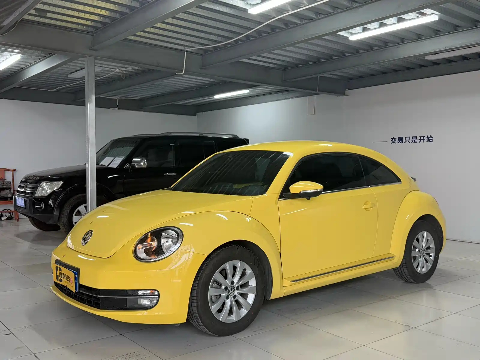 VOLKSWAGEN BEETLE 2013