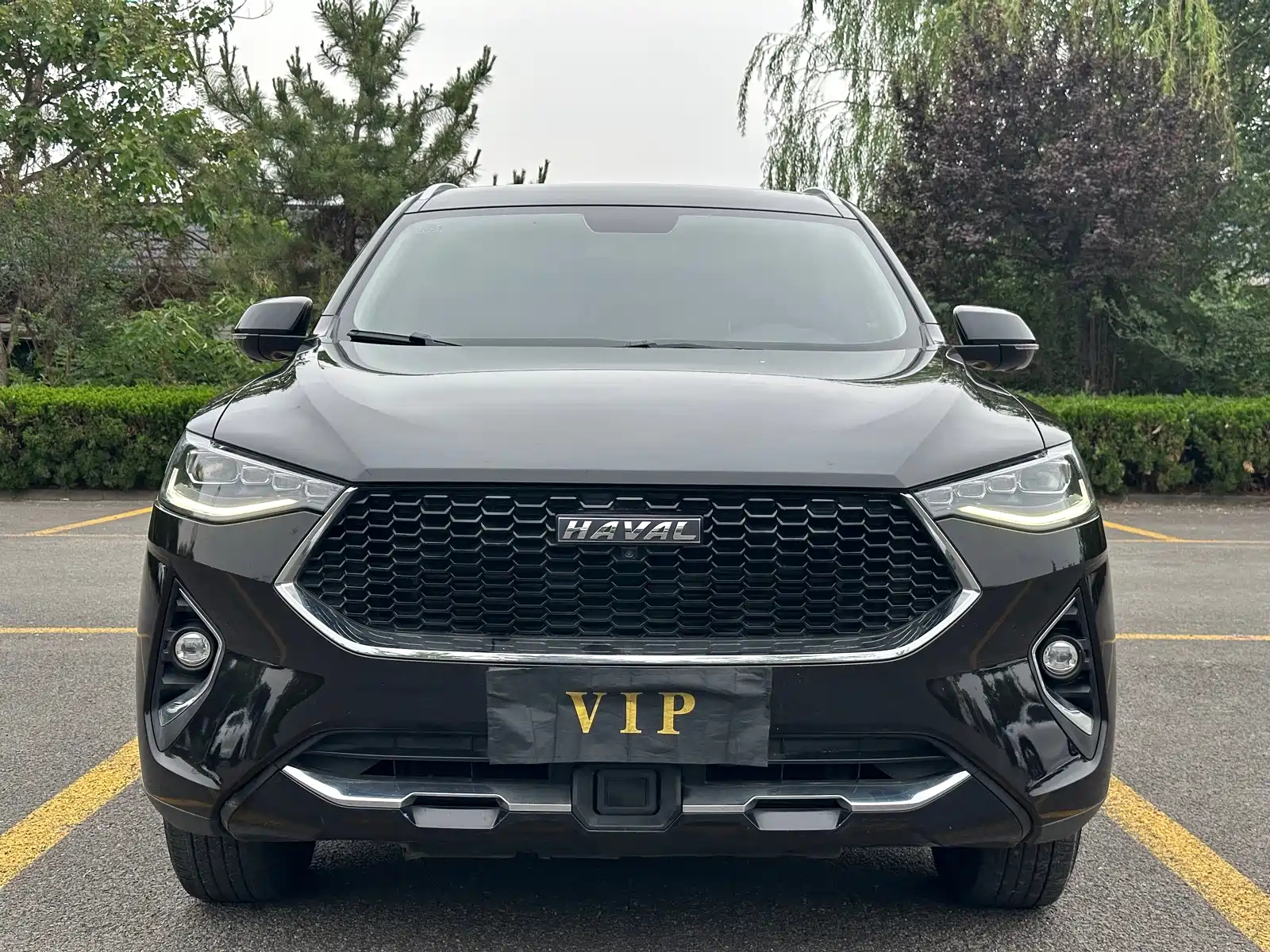 HAVAL F7 2019