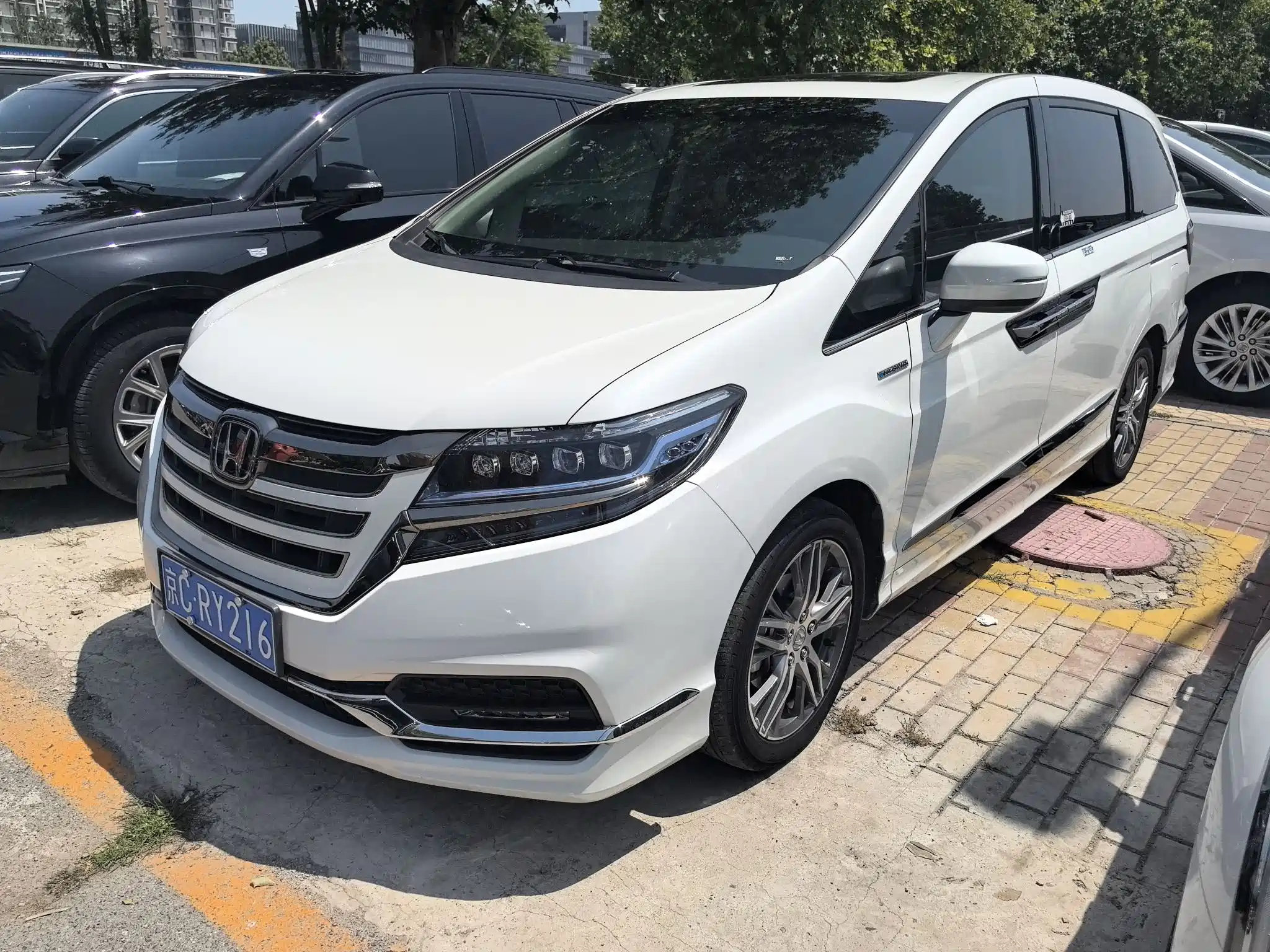 HONDA ALISON 2019