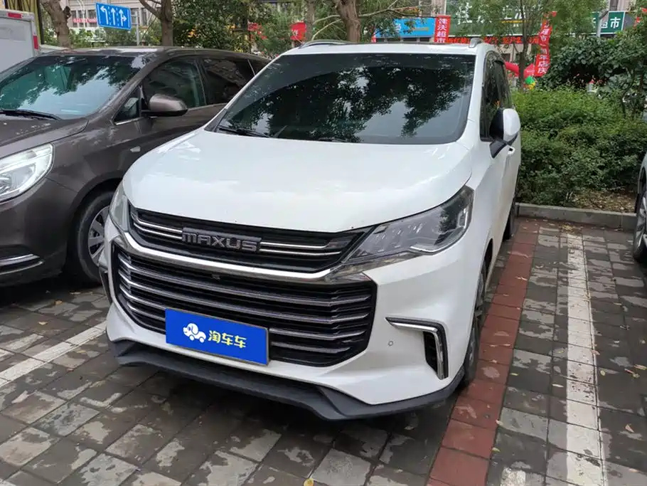 MAXUS OTHER 2019