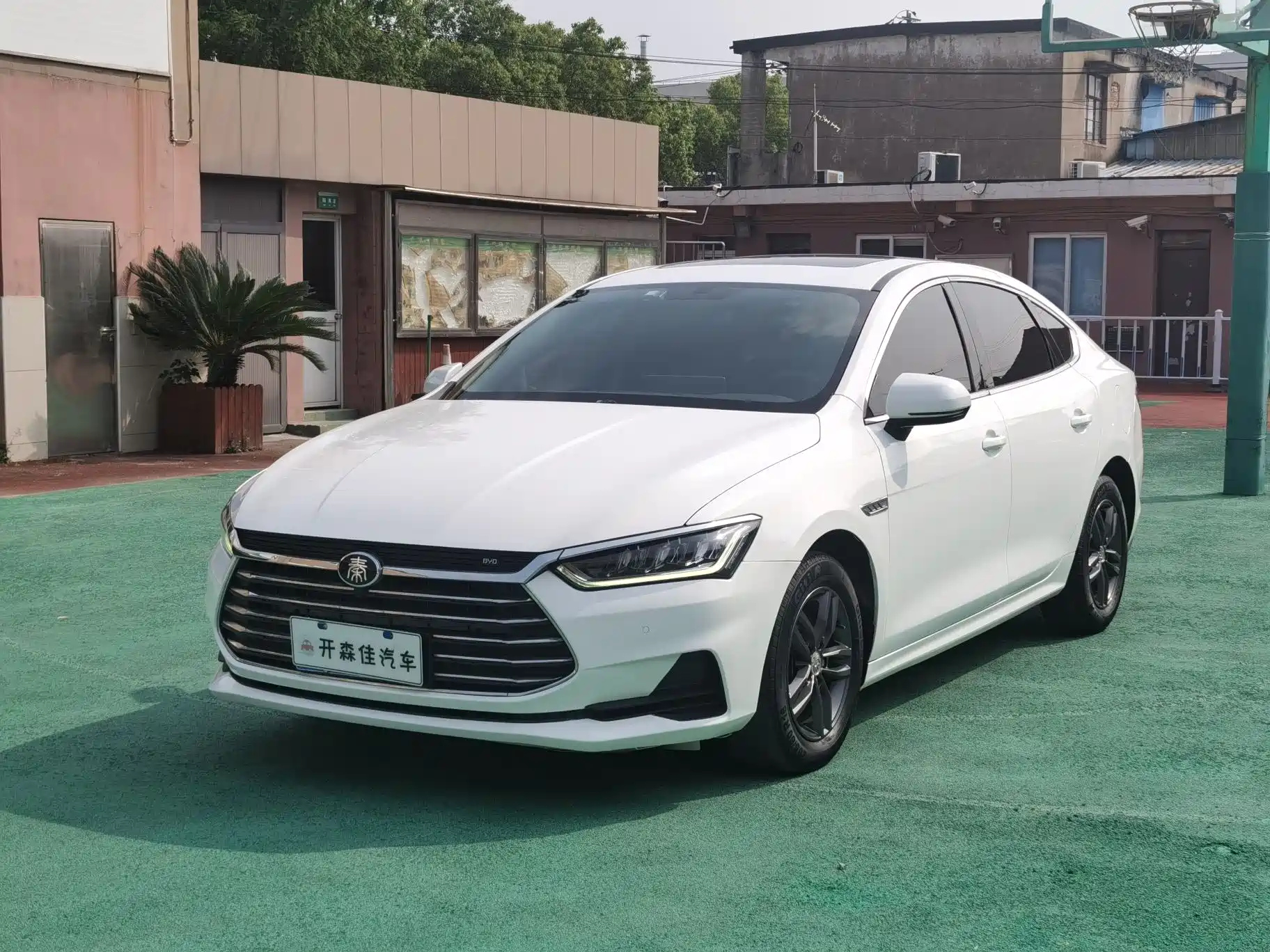 BYD QIN PRO 2019