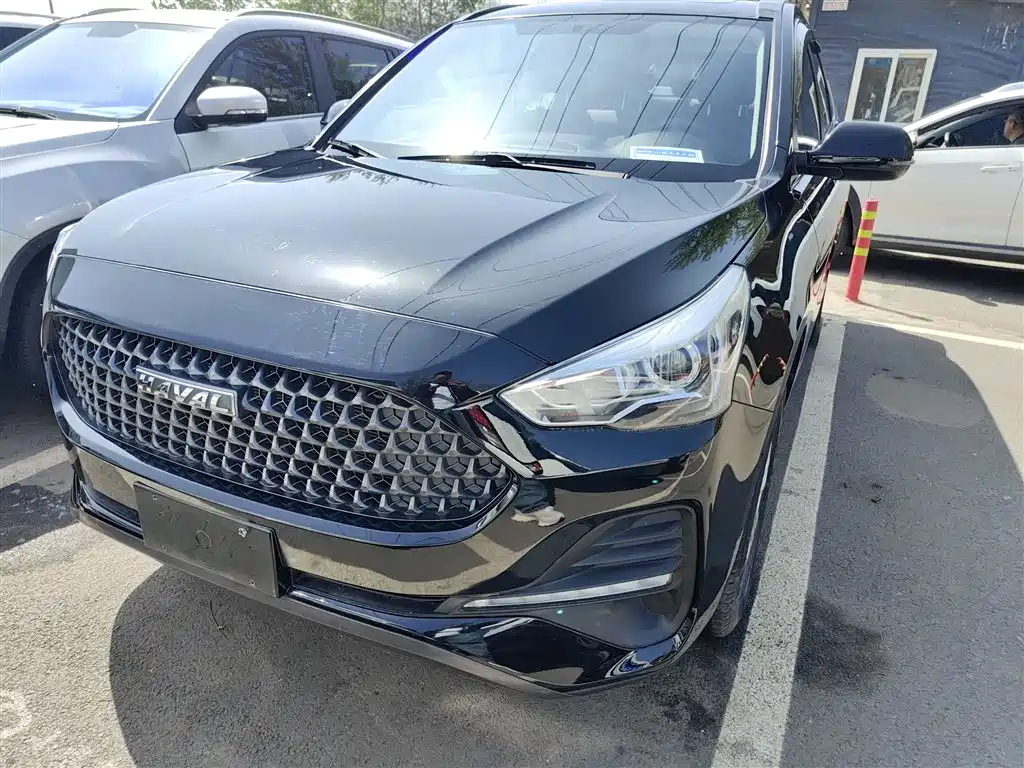 HAVAL M6 2019
