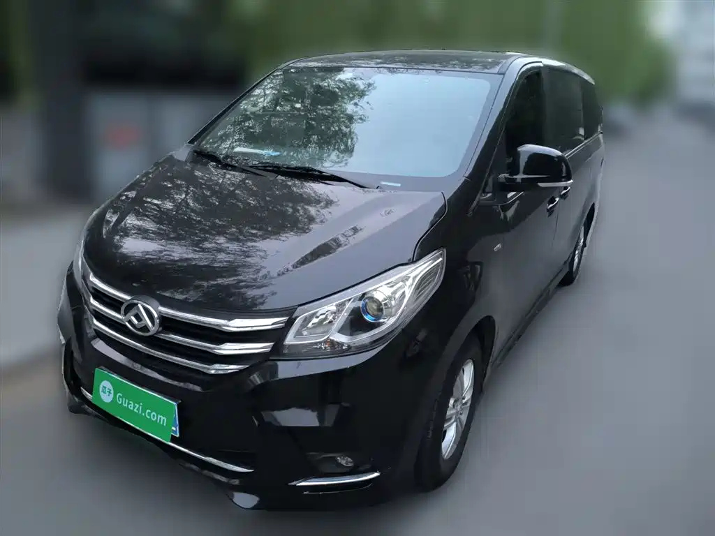 MAXUS OTHER 2022