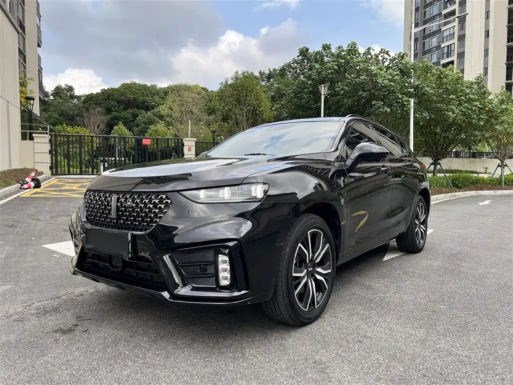 WEY VV7 NEW ENERGY 2020