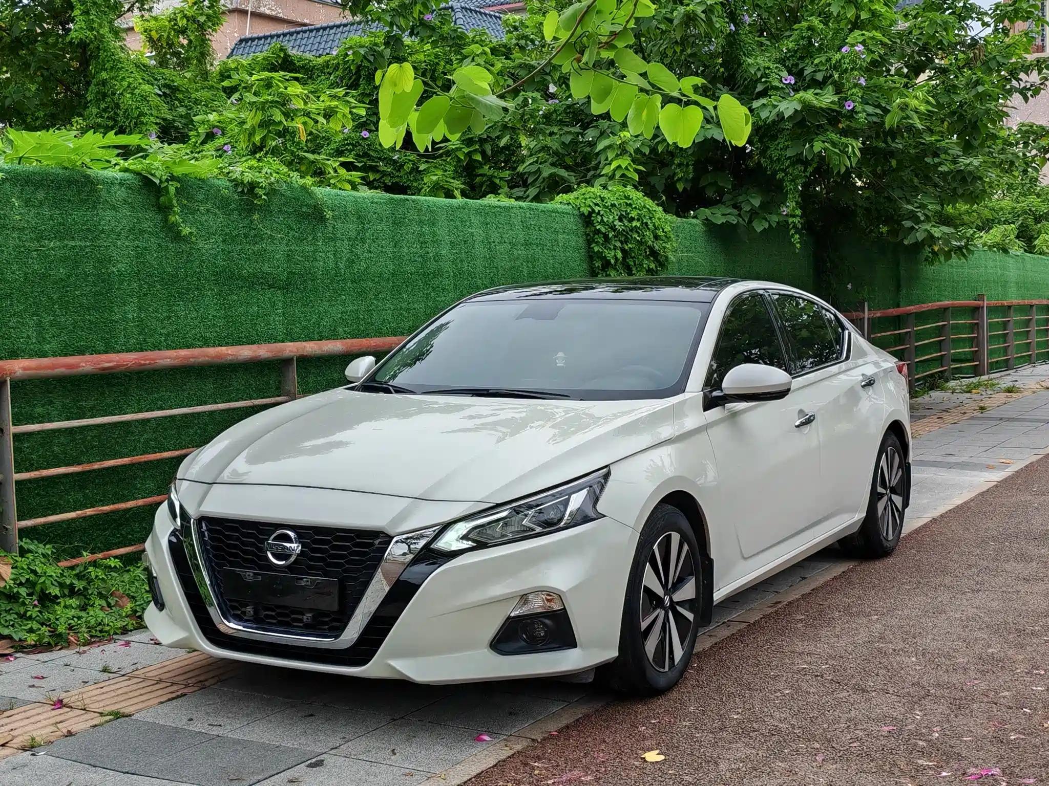 NISSAN TEANA 2022