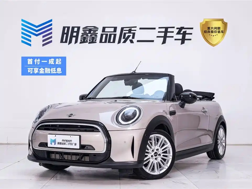 MINI OTHER 2022