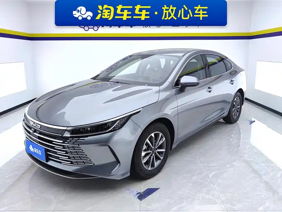 BYD DESTROYER 05 2024