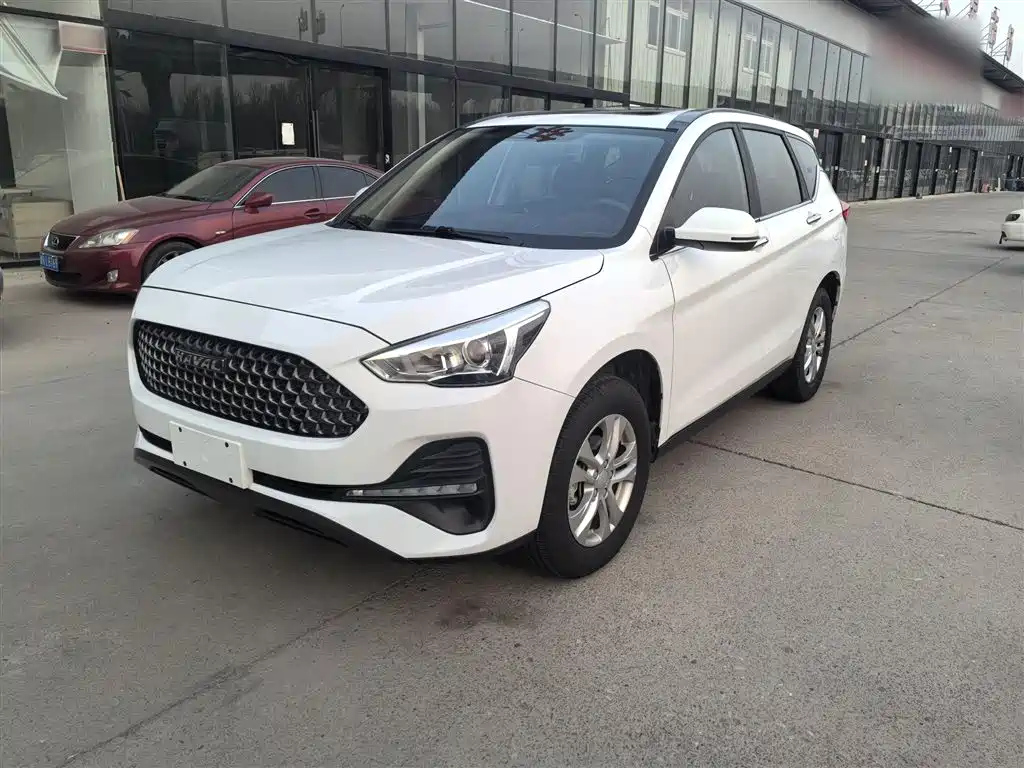 HAVAL M6 2019