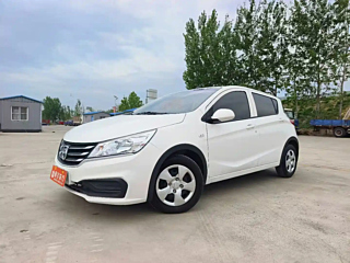 bao-jun 310