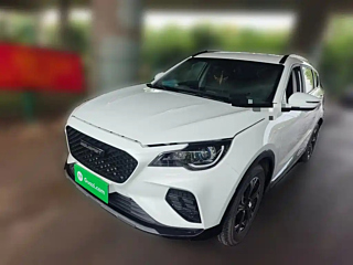 Заказать SOUEAST DX8S