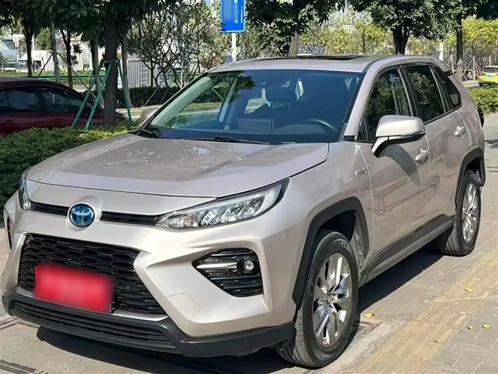 TOYOTA WILDLANDER 2020