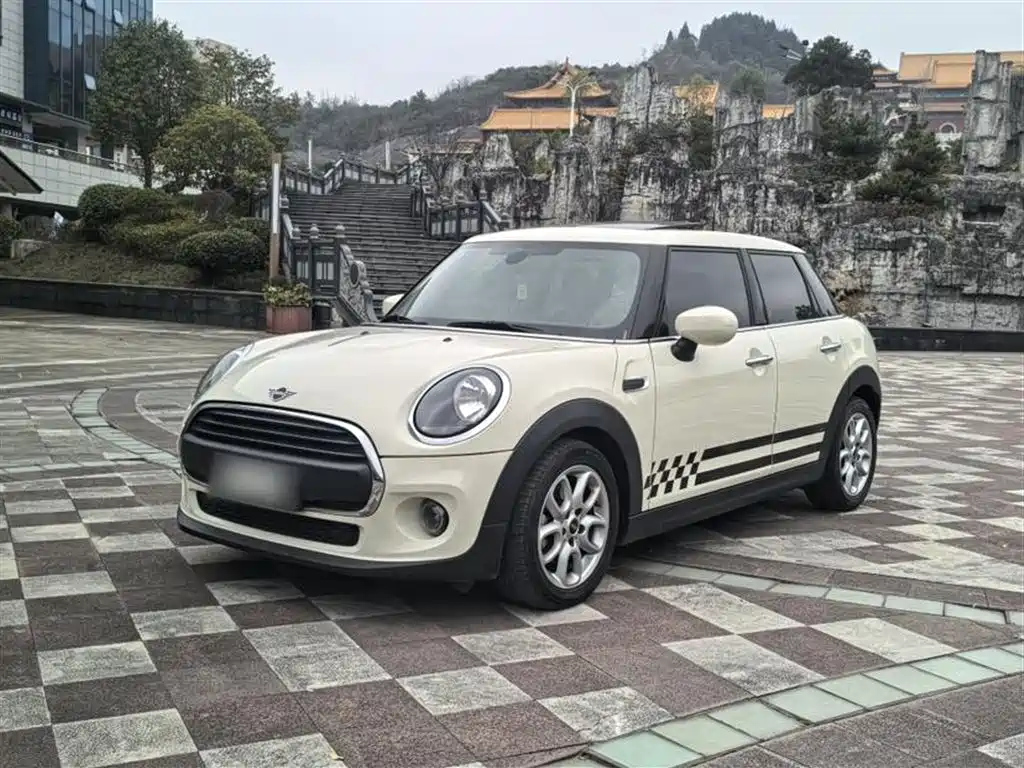 MINI OTHER 2018