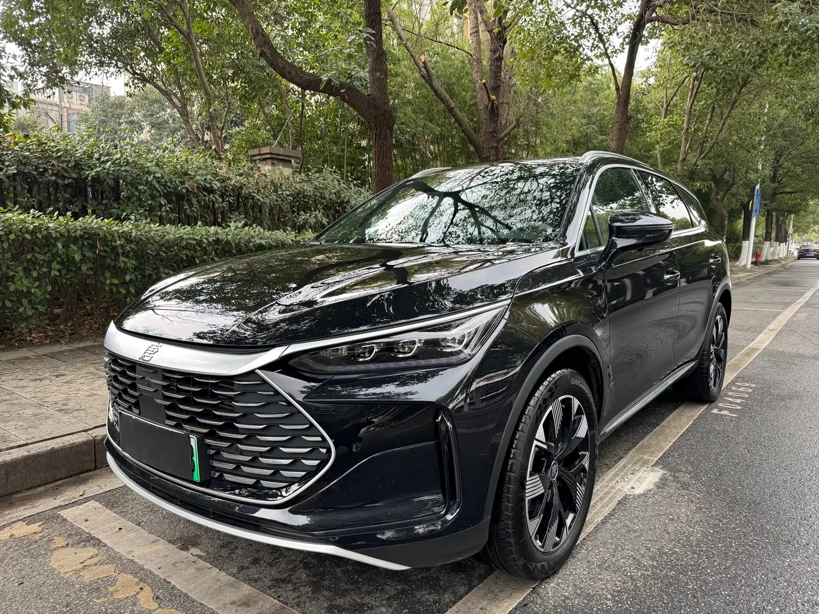 BYD TANG NEW ENERGY 2024