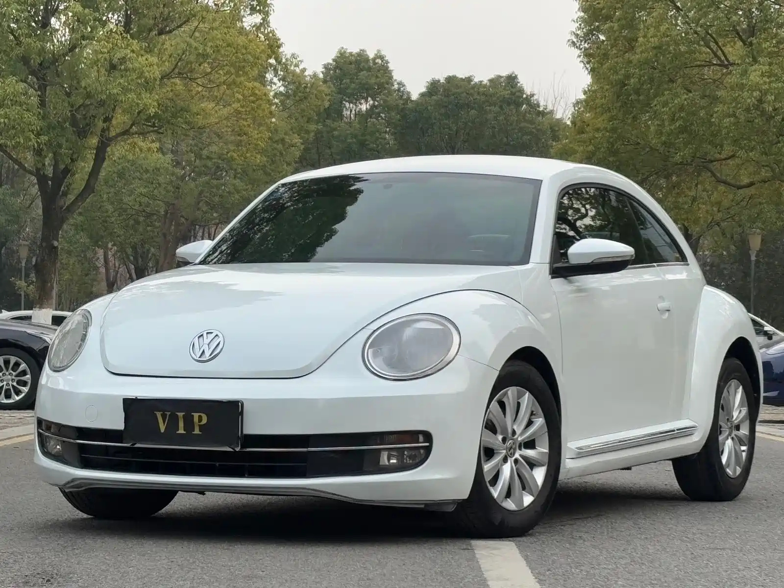 VOLKSWAGEN BEETLE 2013