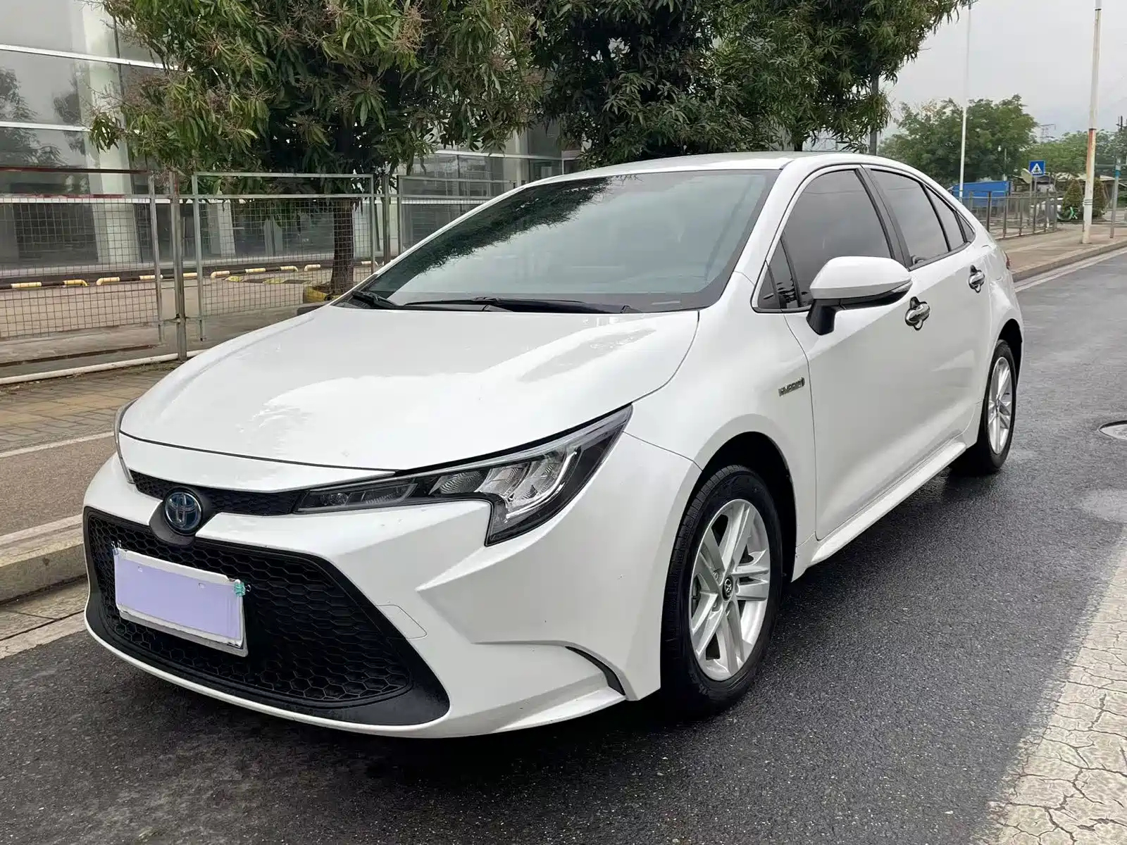 TOYOTA RALINK 2022