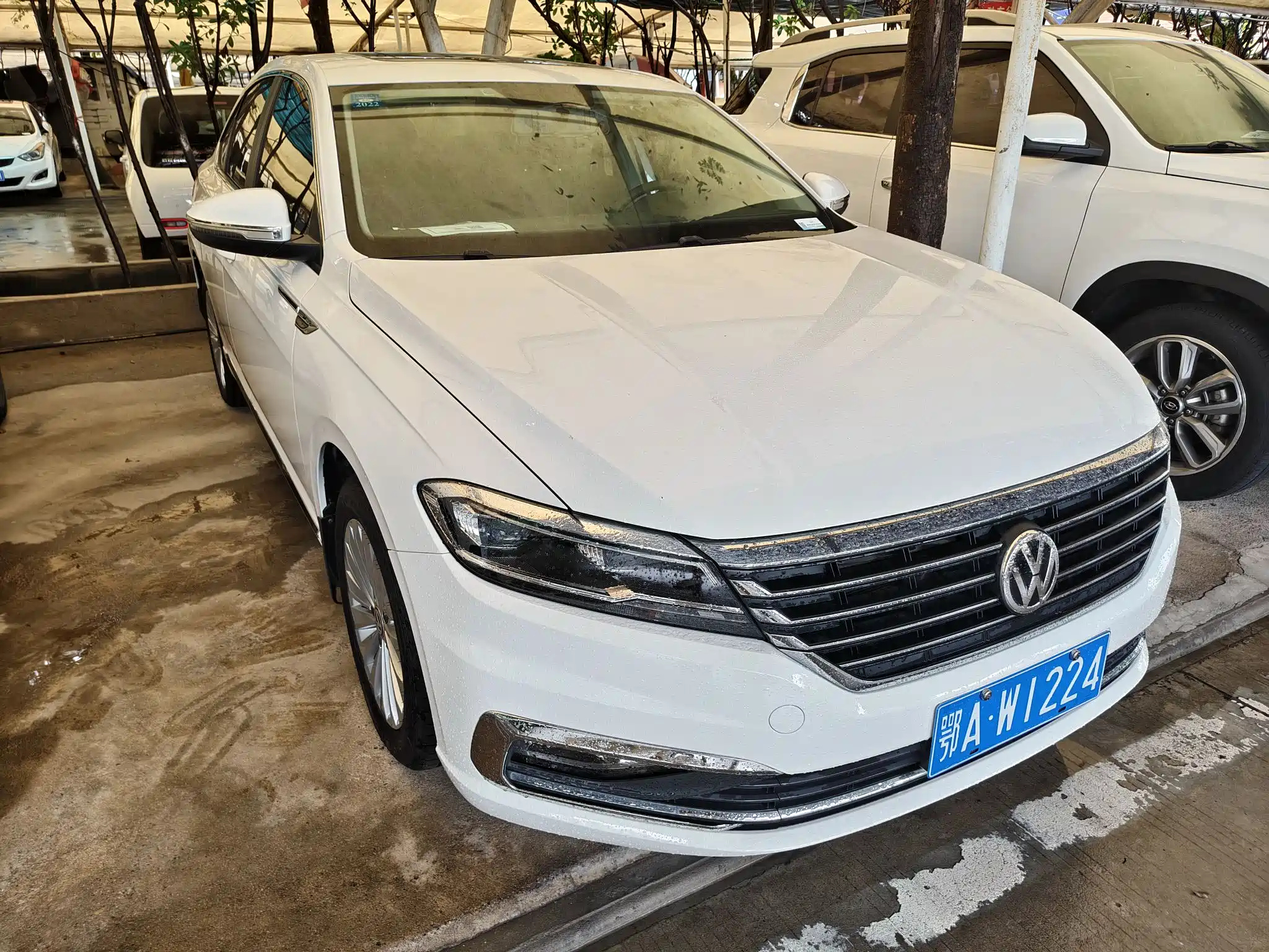 VOLKSWAGEN LAVIDA 2019