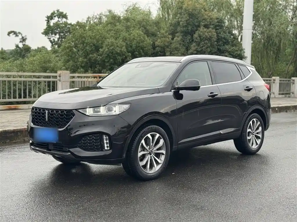 WEY VV6 2019