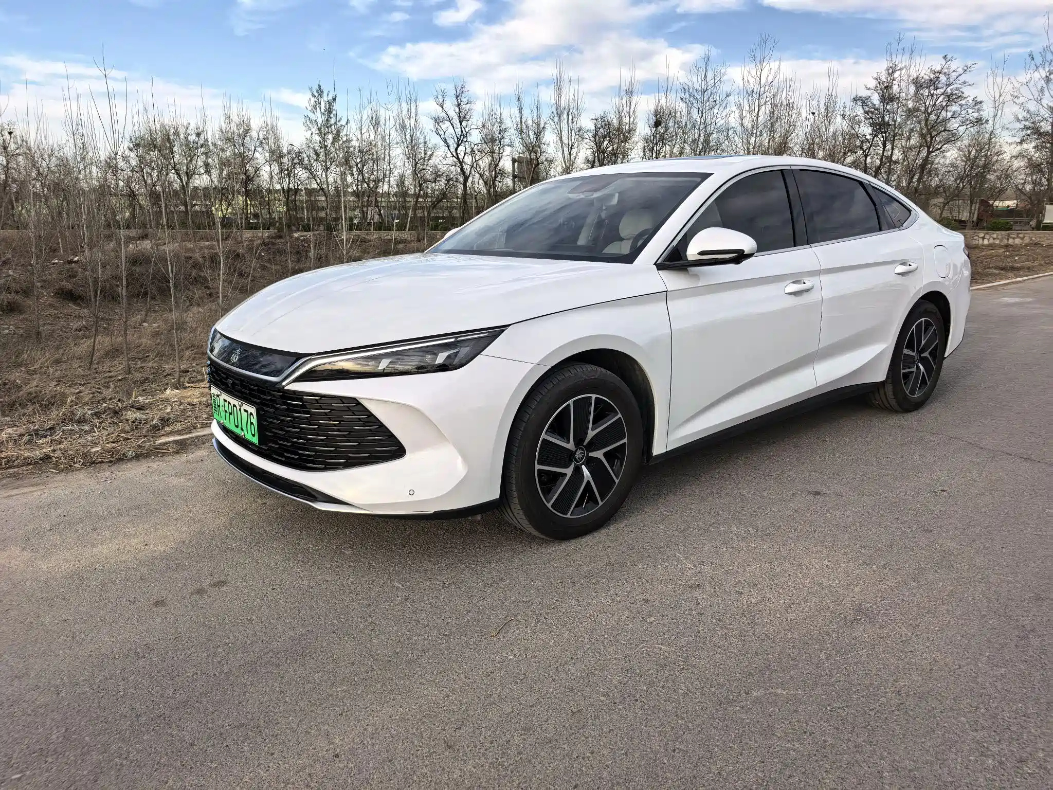 BYD QIN L 2024