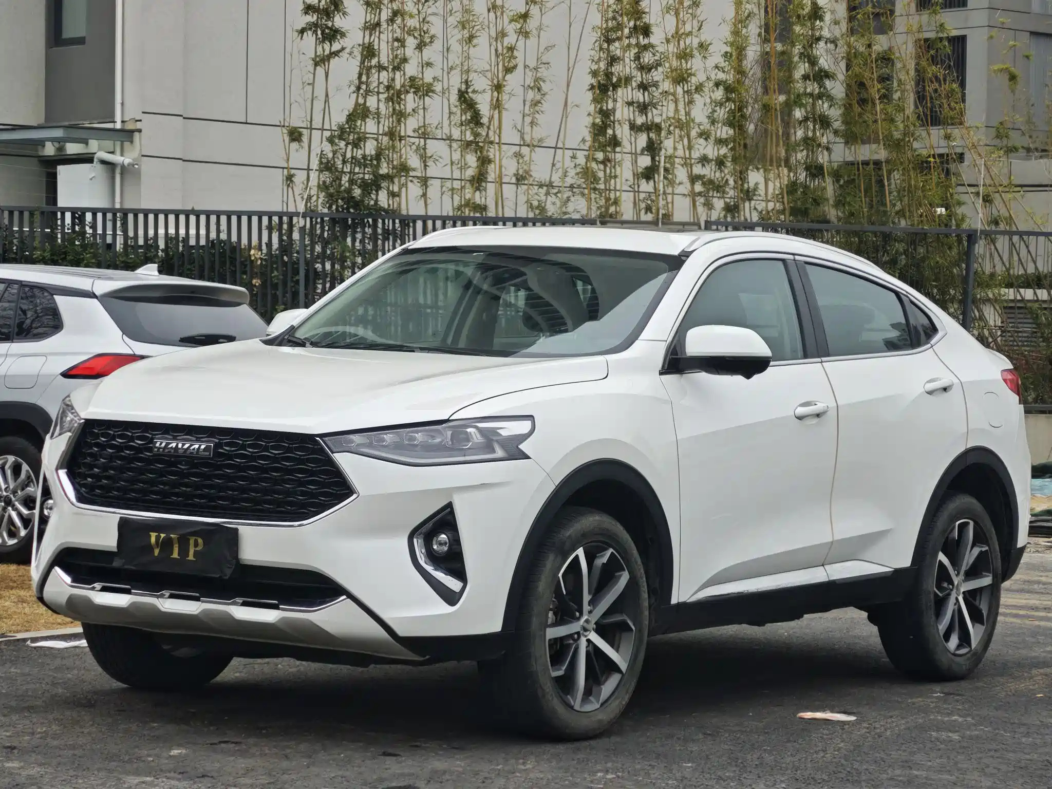HAVAL F7X 2019