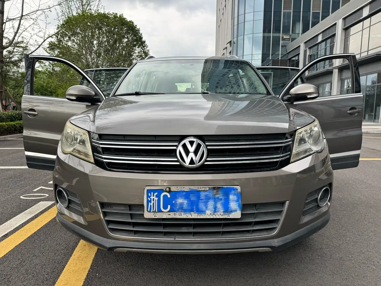 VOLKSWAGEN TIGUAN 2010