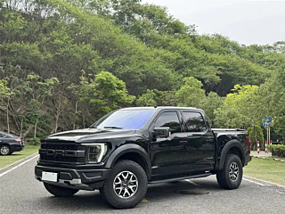 ford other