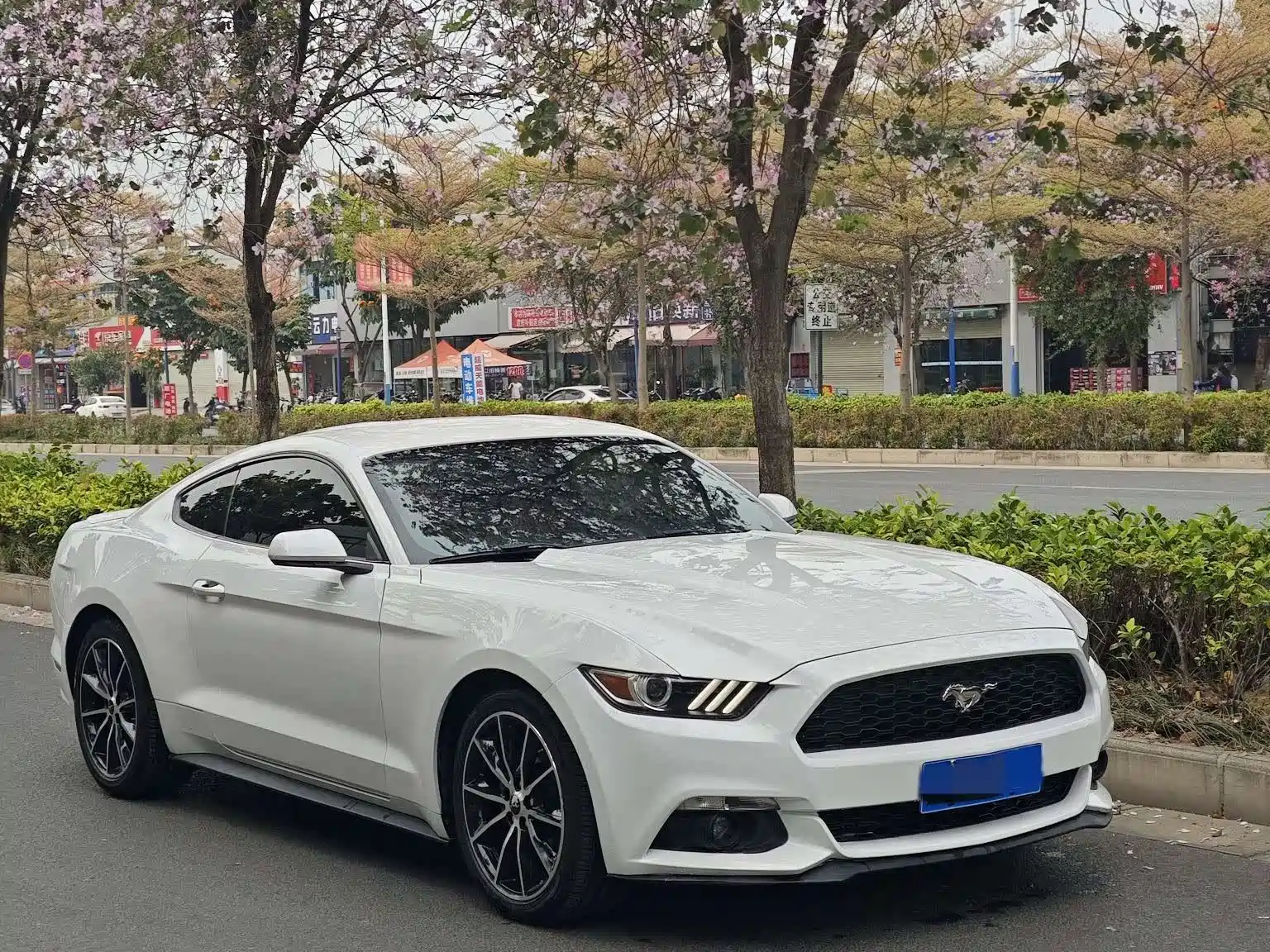 FORD MUSTANG