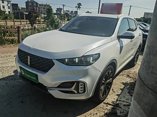 wey vv6
