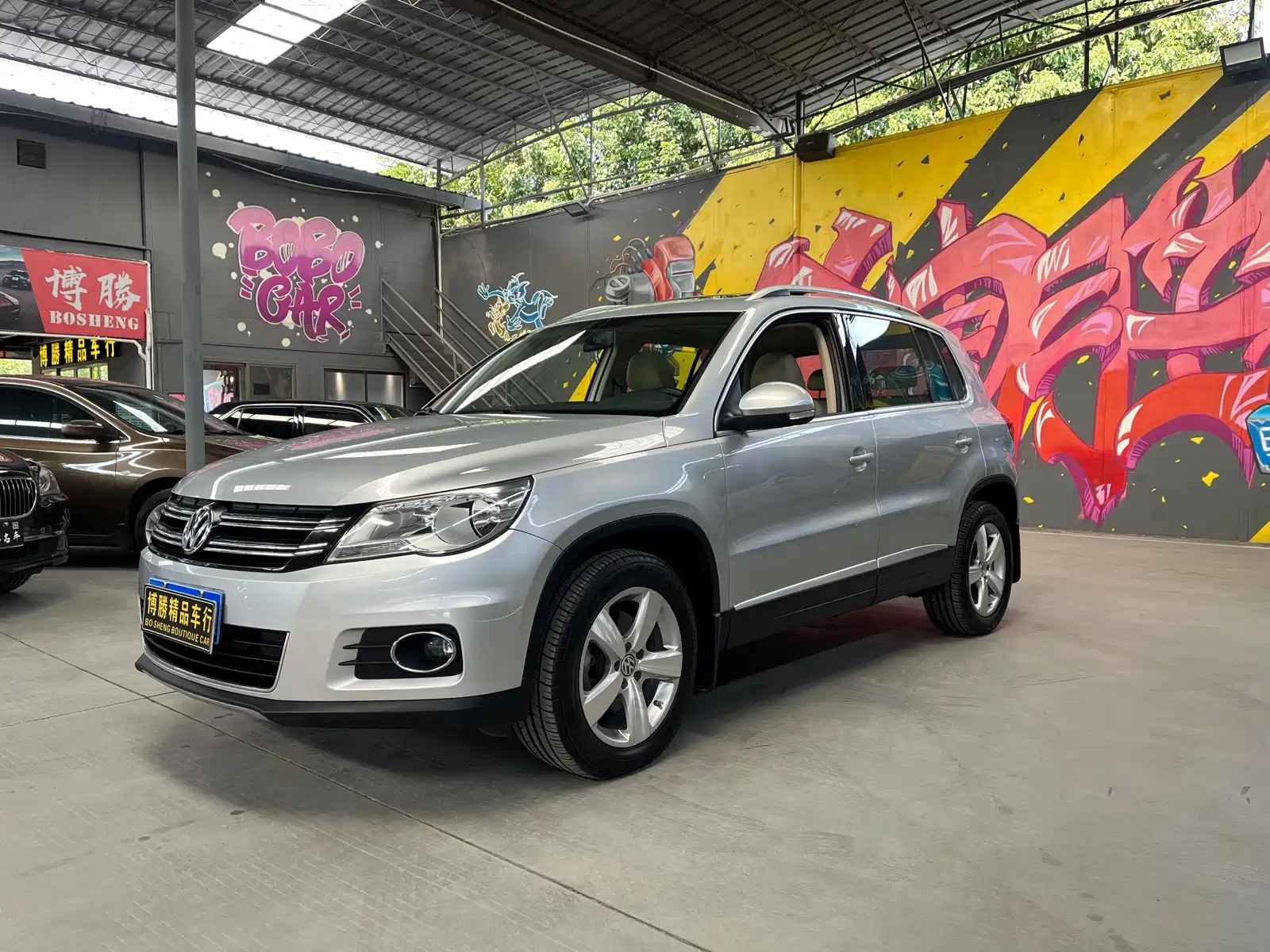 VOLKSWAGEN TIGUAN 2010