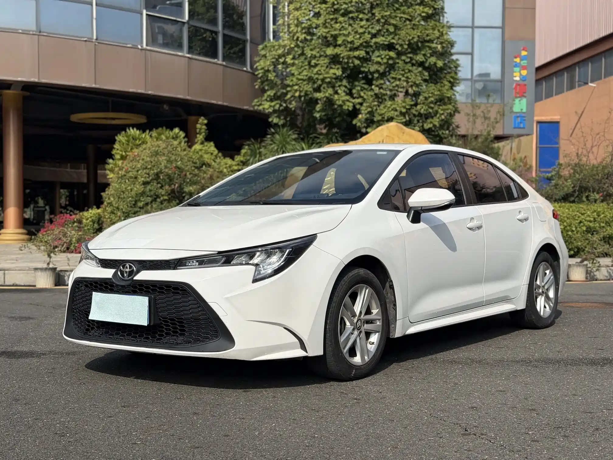 TOYOTA RALINK 2022