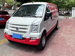 dongfeng other