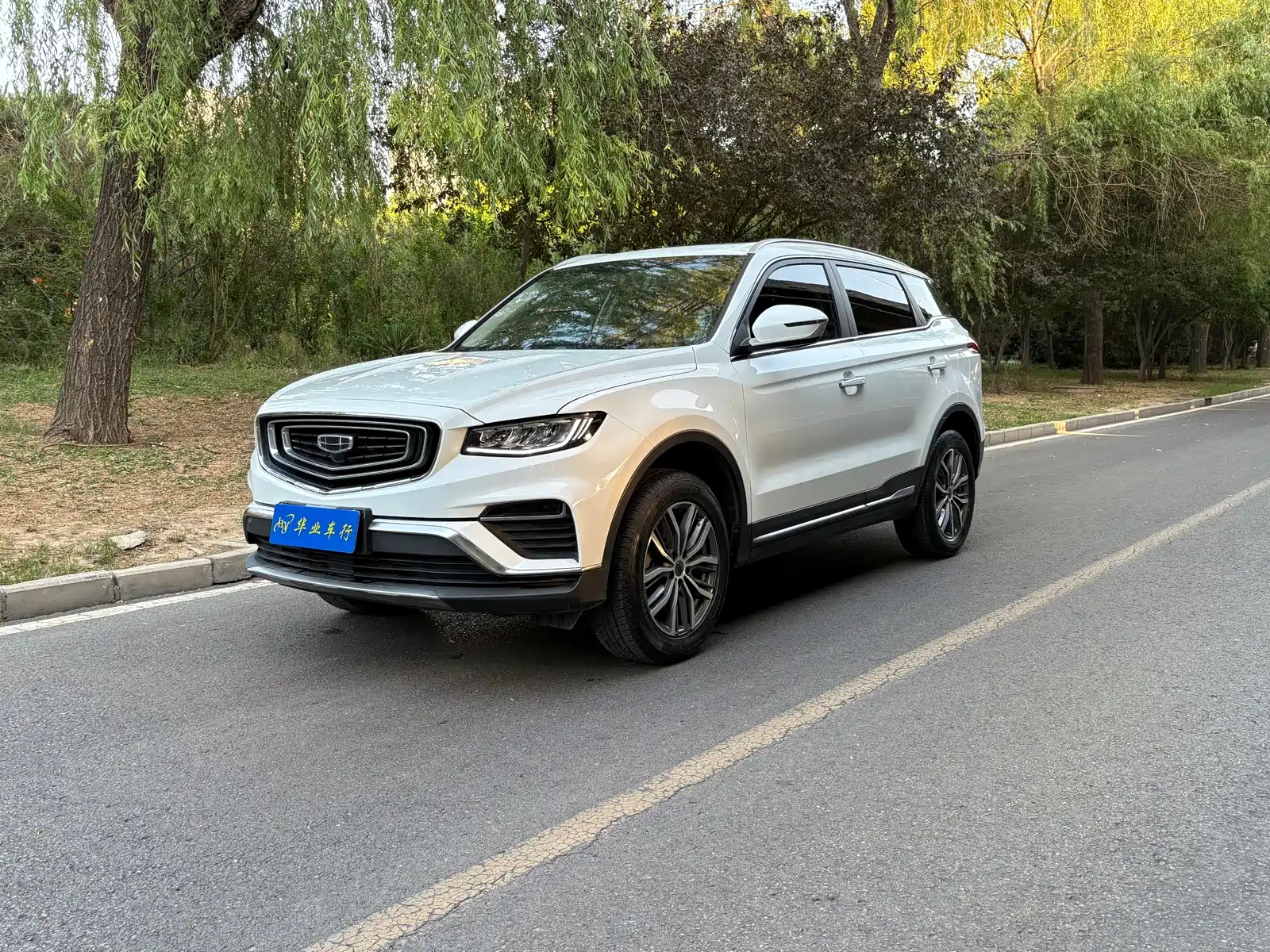 GEELY AUTO BOYUE 2020