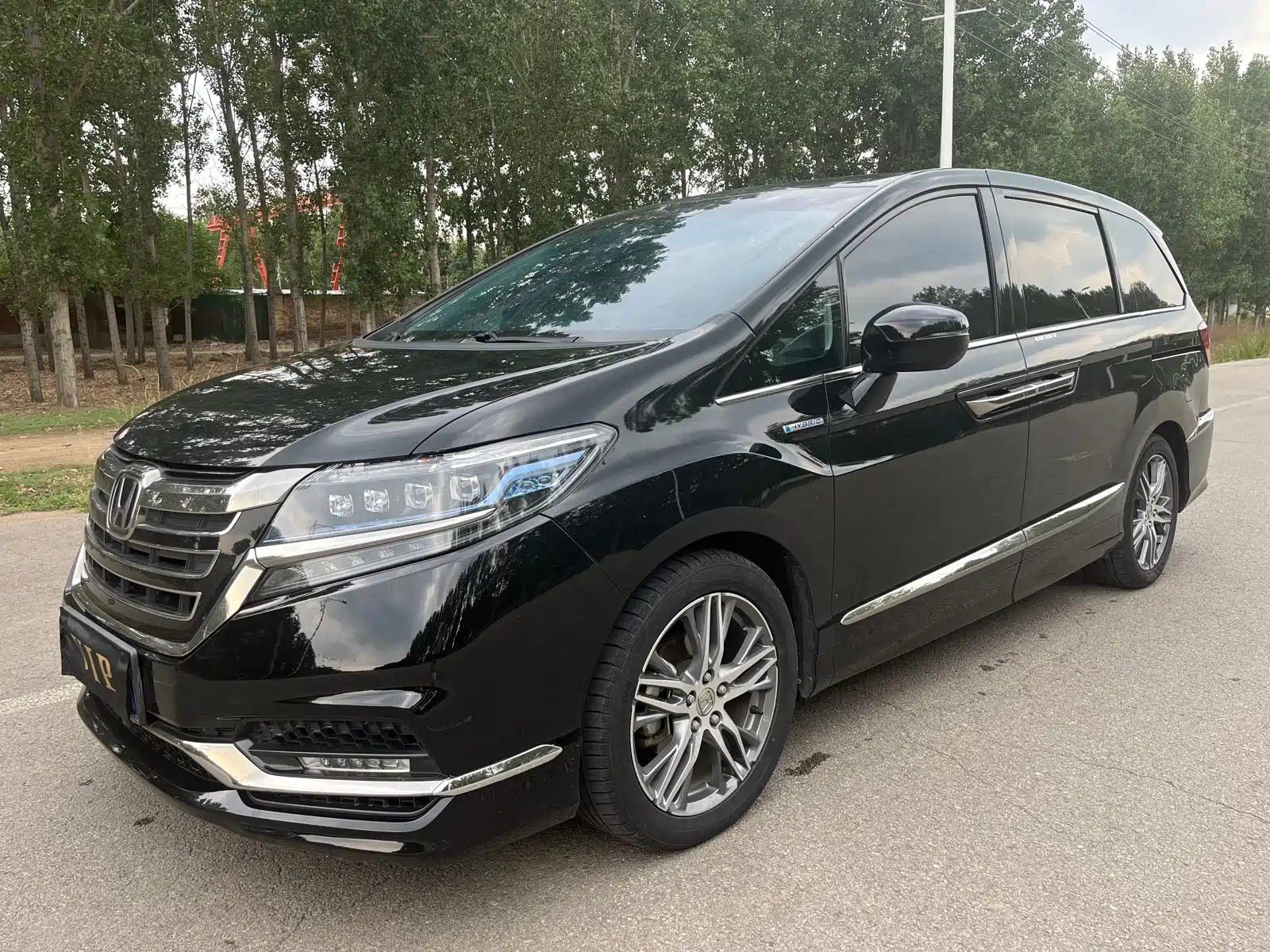 HONDA ALISON 2019
