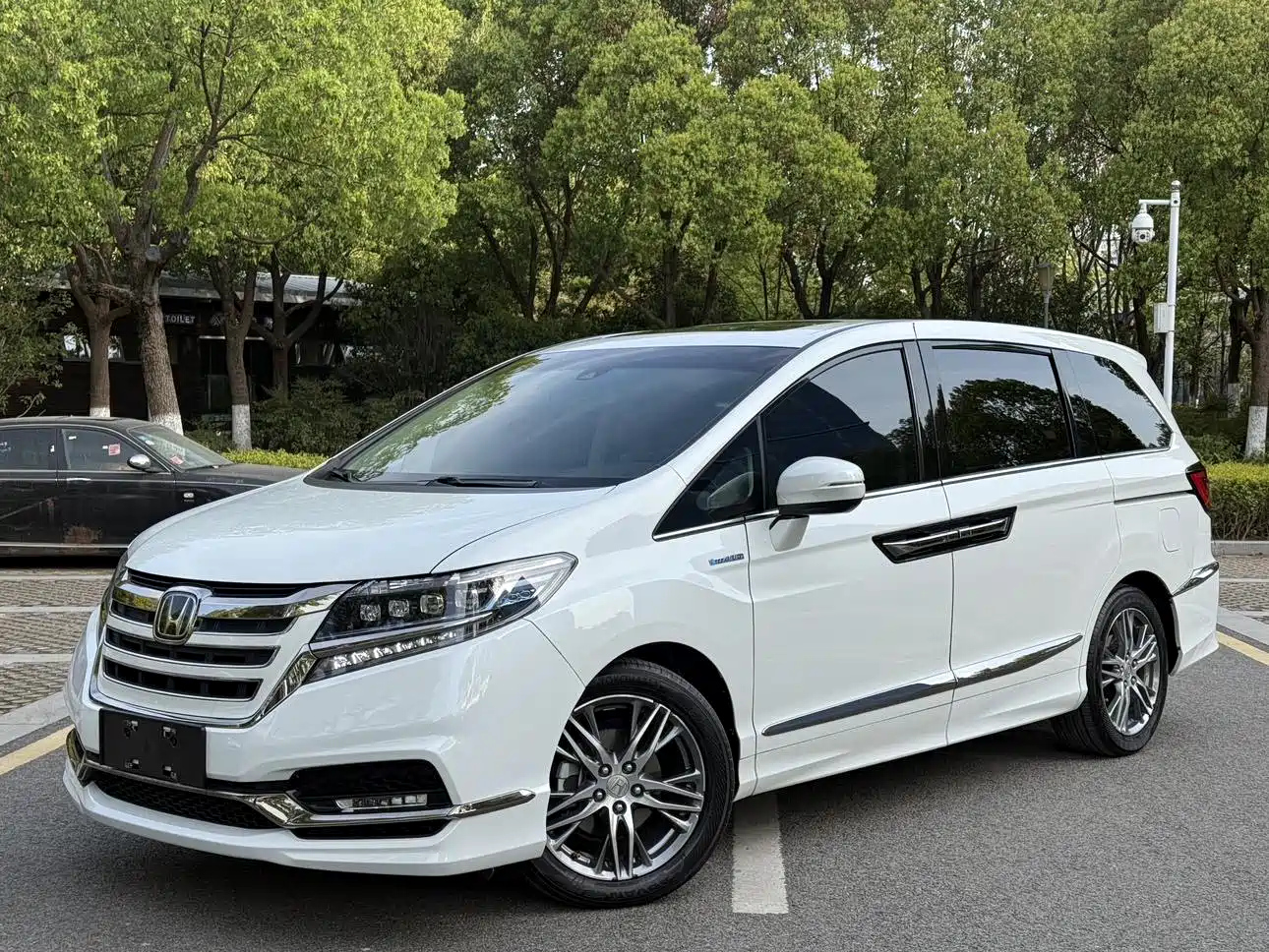 HONDA ALISON 2019