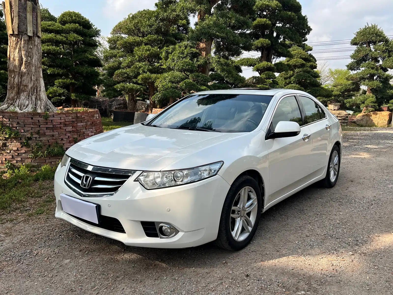 HONDA SI PLATINUM 2013