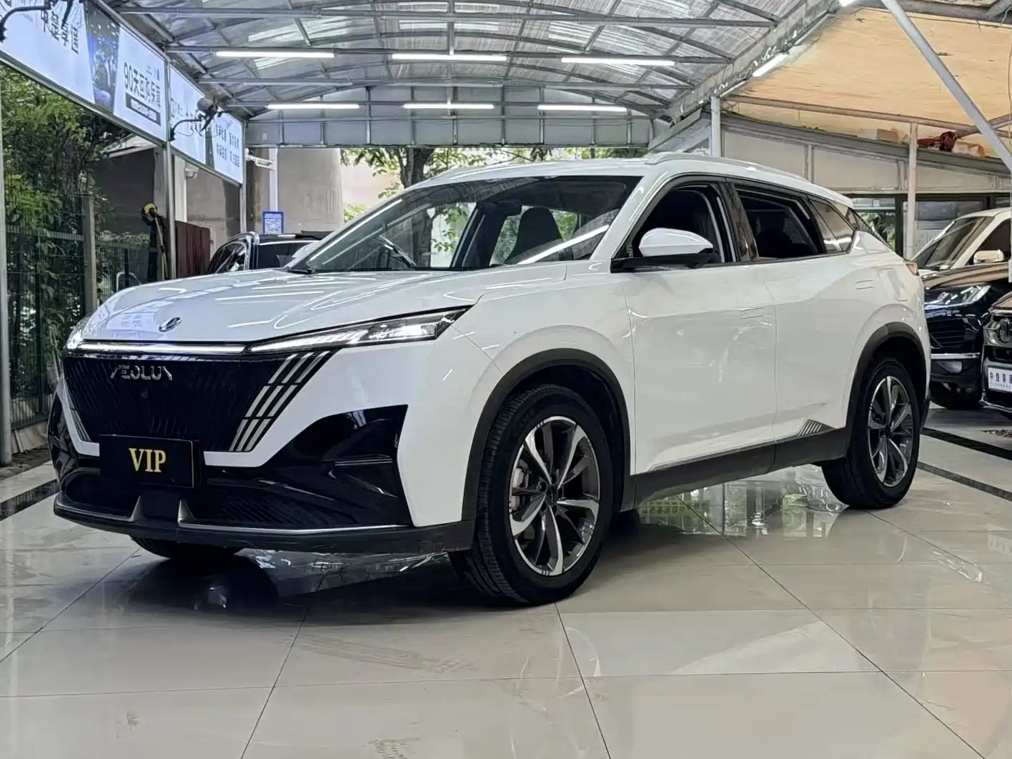 DONGFENG OTHER 2023