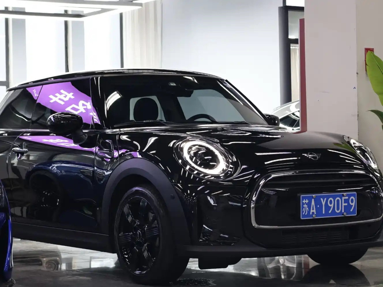 MINI OTHER 2023