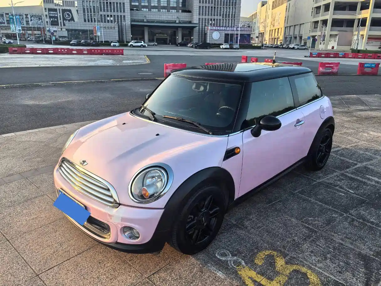 MINI OTHER 2013