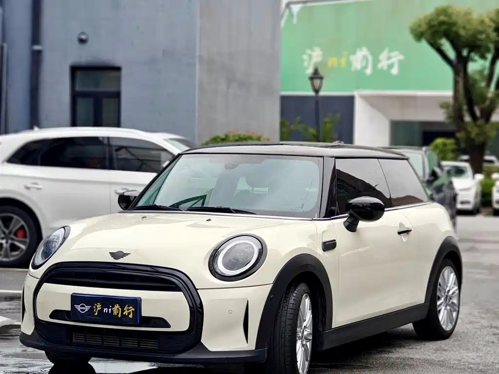 MINI OTHER 2022